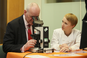 Mark Durkan MP looks at malaria parasites in blood cells